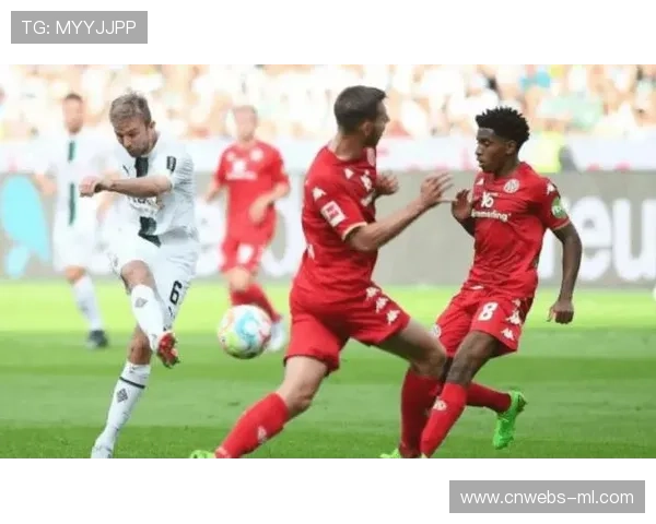 德甲降级球队回顾：汉堡、美因茨谁将重生？